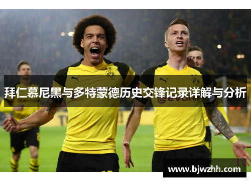 拜仁慕尼黑与多特蒙德历史交锋记录详解与分析